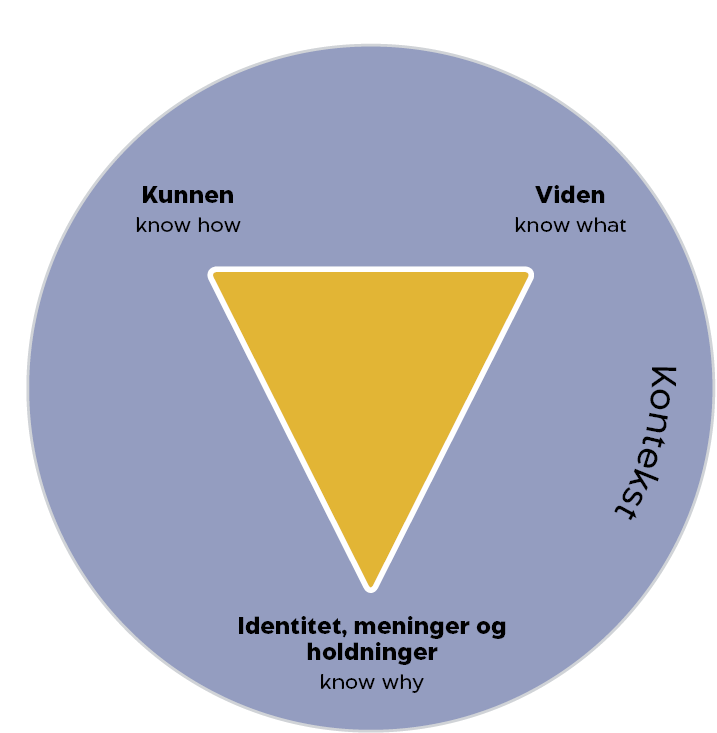 Uddannelse i kommunikationsuddannelse – Krav, Løn, Karrieremuligheder, Kompetencer