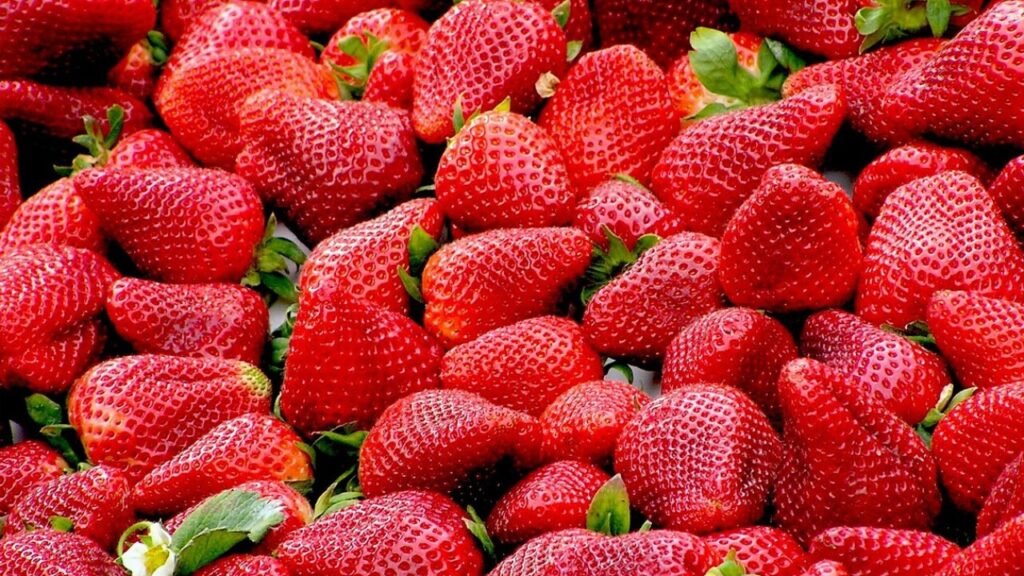 Kost og ernæring overenskomst gratis PDF download